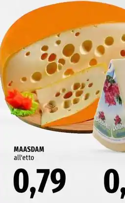 Famila MAASDAM offerta