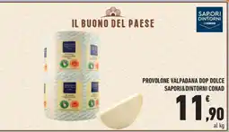 Conad PROVOLONE VALPADANA DOP DOLCE SAPORI&DINTORNI CONAD offerta