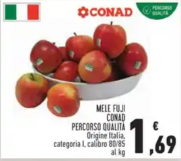 Conad Mele Fuji offerta