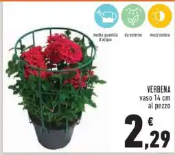 Conad VERBENA offerta
