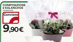 Coop COMPOSIZIONE 2 KALANCHOE offerta