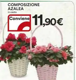 Coop COMPOSIZIONE AZALEA offerta