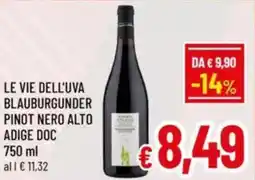 A&O le vie dell'uva blauburgunder pinot nero alto adige doc offerta