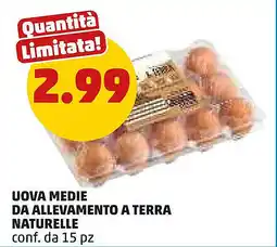 PENNY Uova medie da allevamento a terra NATURELLE offerta