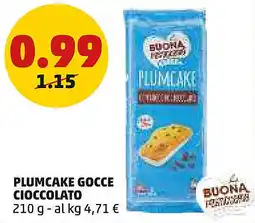 PENNY Plumcake gocce cioccolato offerta