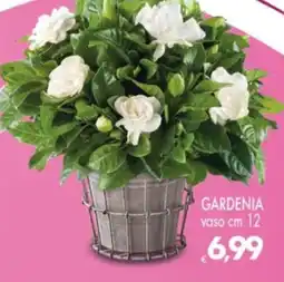 Despar Gardenia offerta