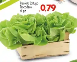 Despar Insalata Lattuga Trocadero offerta