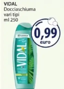 Acqua & Sapone VIDAL Docciaschiuma vari tipi offerta