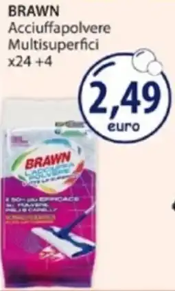 Acqua & Sapone BRAWN Acciuffapolvere Multisuperfici offerta