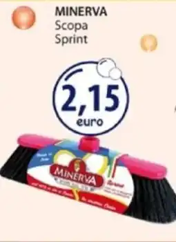 Acqua & Sapone MINERVA Scopa Sprint offerta