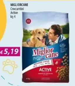 Acqua & Sapone MIGLIORCANE Croccantini Active offerta