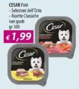 Acqua & Sapone CESAR Pate offerta