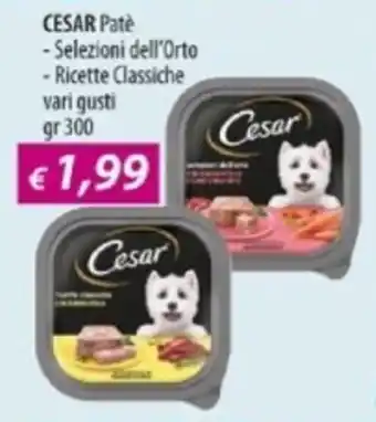 Acqua & Sapone CESAR Pate offerta