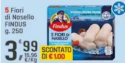 Supermercati Dok 5 fiori di nasello findus offerta