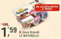 Supermercati Dok 6 uova grandi le naturelle offerta