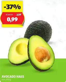 ALDI Avocado hass offerta