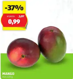 ALDI Mango offerta