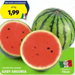 ALDI I colori del sapore baby anguria offerta