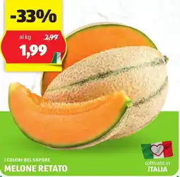 ALDI I colori del sapore melone retato offerta