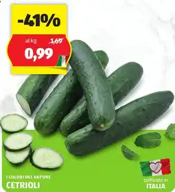 ALDI I colori del sapore cetrioli offerta