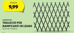 ALDI Gardenline traliccio per rampicanti in legno offerta
