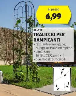 ALDI Belavi traliccio per rampicanti offerta