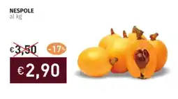 Prezzemolo e Vitale Nespole offerta