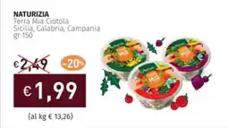 Prezzemolo e Vitale NATURIZIA Terra Mia Ciotola Sicilia, Calabria, Campania offerta