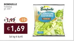 Prezzemolo e Vitale BONDUELLE Iceberg offerta