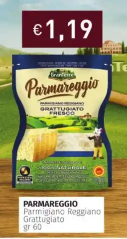 Prezzemolo e Vitale PARMAREGGIO Parmigiano Reggiano Grattugiato offerta