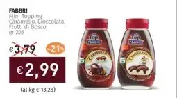 Prezzemolo e Vitale FABBRI Mini Topping Caramello, Cioccolato, Frutti di Bosco offerta