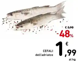 Spazio Conad Cefali dell'adriatco offerta