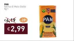 Prezzemolo e Vitale PAN Farina di Mais Giallo offerta