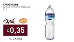 Prezzemolo e Vitale CAVAGRANDE Acqua Minerale Naturale offerta
