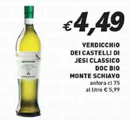 Coal Verdicchio dei castelli di jesi classico doc bio monte schiavo anfora offerta