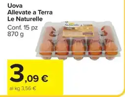 Carrefour Uova Allevate a Terra Le Naturelle offerta