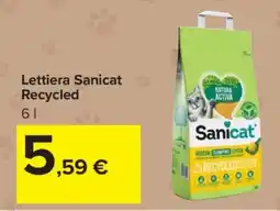 Carrefour Lettiera Sanicat Recycled offerta
