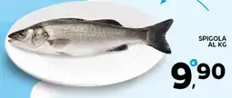 Extra Supermercati Spigola offerta