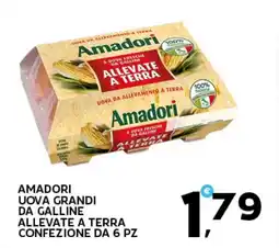 Extra Supermercati Amadori uova grandi da galline allevate a terra offerta