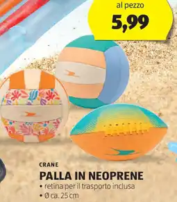 ALDI Crane palla in neoprene offerta