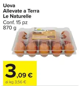 Carrefour Market Uova Allevate a Terra Le Naturelle offerta