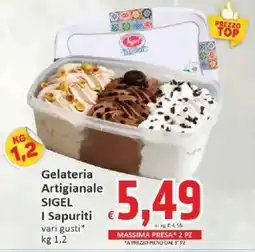 Paghi Poco Gelateria Artigianale SIGEL I Sapuriti offerta