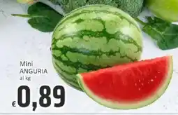 Paghi Poco Mini ANGURIA offerta