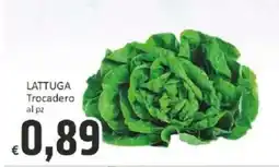 Paghi Poco LATTUGA Trocadero offerta