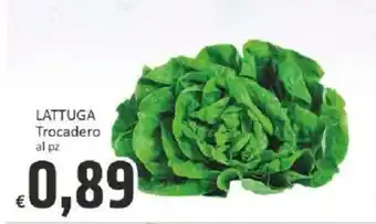 Paghi Poco LATTUGA Trocadero offerta