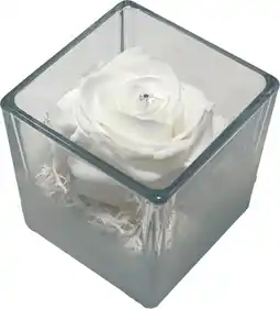 MD Discount ROSE STABILIZZATE offerta