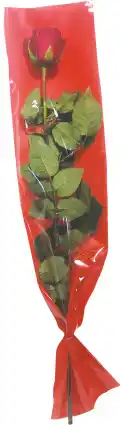 MD Discount ROSA ROSSA SINGOLA offerta