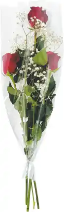 MD Discount 3 ROSE + GYPSOPHILA offerta