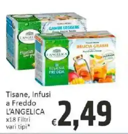 Paghi Poco Tisane, Infusi a Freddo L'ANGELICA offerta