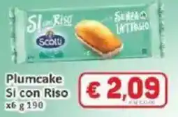 Paghi Poco Plumcake Si con Riso offerta